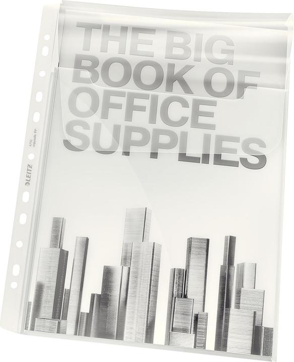 Image du produit Leitz Esselte (A4, 1 x)