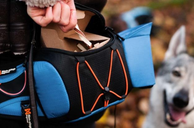 Actual product image Non-Stop Dogwear Ferd Belt (M, Dog, General)