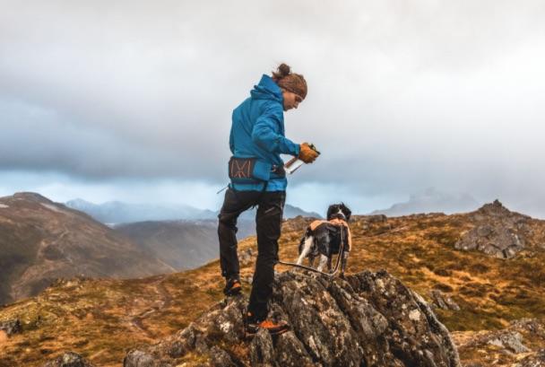 Actual product image Non-Stop Dogwear Ferd Belt (M, Dog, General)