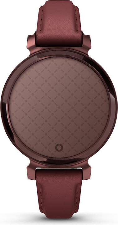 Image du produit Garmin 010-02839-03 Lilly 2