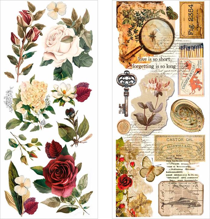 Actual product image Ciao Bella Art Stickers "Cabinet of Curiosities", 12 x 26 cm, 5 Blatt (5 Sticker)