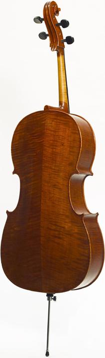 Actual product image Stentor Messina (Cello, 4/4)