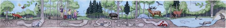 Image du produit Beleduc Puzzle de sol Découvre la forêt (40 pièces)