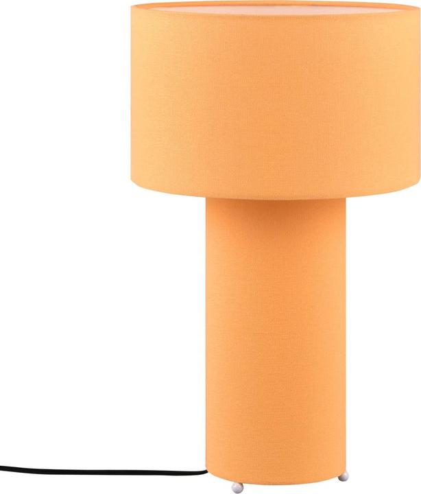 Actual product image Trio 505200183 (E27)