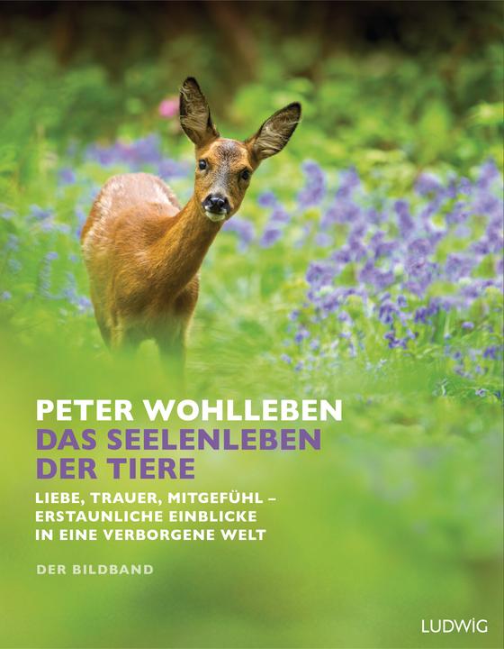 Produktbild Das Seelenleben der Tiere Der Bildband (Deutsch, Peter Wohlleben, 2018)