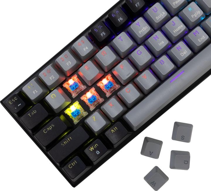 Actual product image White Shark GK-002721V2 Wakizashi-2 Grey-Black US-Blue.SW (US, Cable)