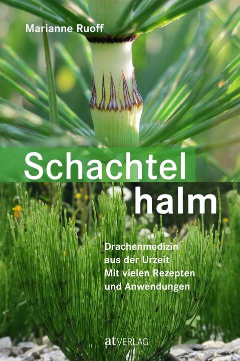 horsetail