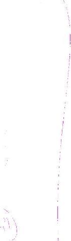 Produktbild Womanizer Starlet 3