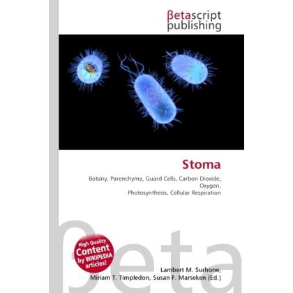 Stoma, Fachbücher von Miriam T. Timpledon, Lambert M. Surhone, Susan F. Marseken