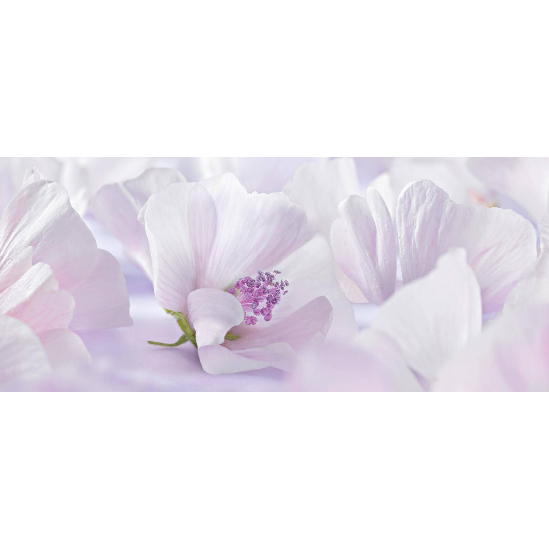 Thumbnail - Weleda, Babykörperpflege, Weisse Malve