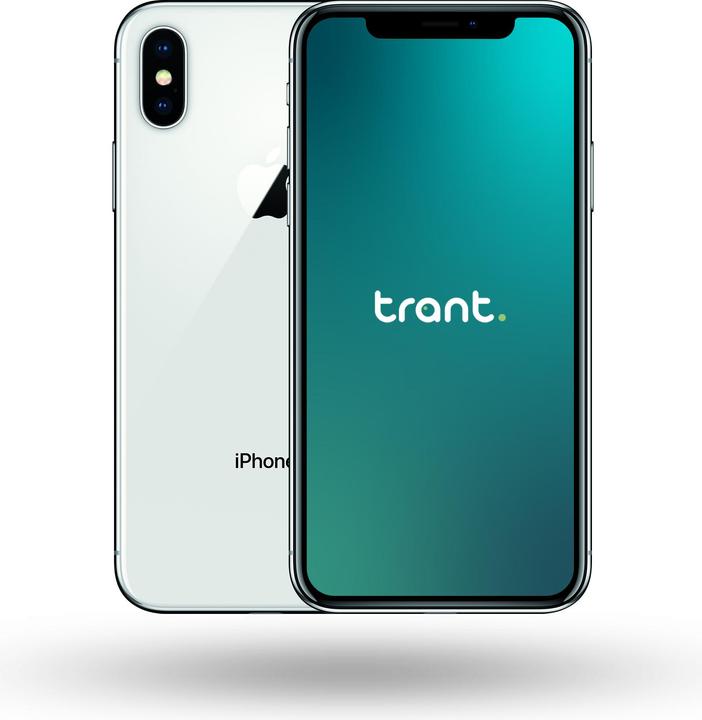 Trant.ch iPhone XS Max (64 GB, Oro, 6.50", 12 Mpx, SIM + eSIM)