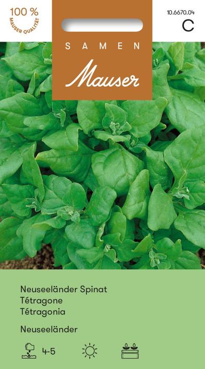 Produktbild Samen Mauser Samen Neuseeländer Spinat