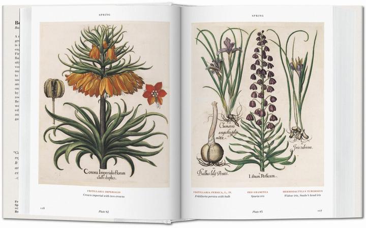 Produktbild Der Garten von Eichstätt. Hortus Eystettensis (Deutsch, Werner Dressendörfer, 2016)