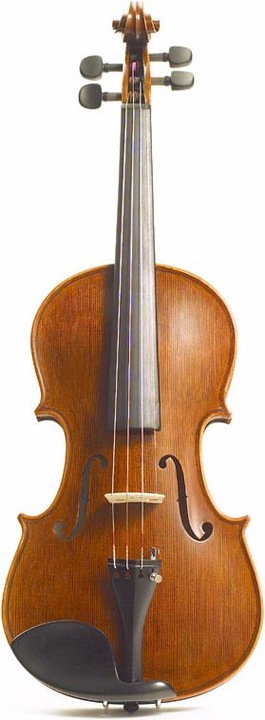 Actual product image Stentor Elysia (Fiddle, 4/4)