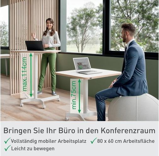 Actual product image Leitz Ergo Compact Workstation Height-adjustable desk (80 x 60 x 75 cm)