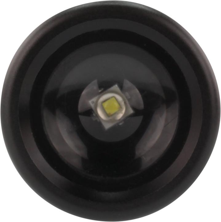 Actual product image Ansmann Future T200F (14.90 cm, 200 lm)
