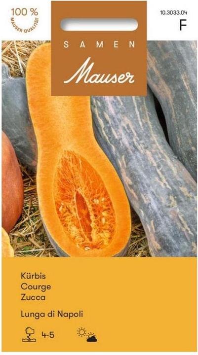 Samen Mauser Pumpkin Lunga di Napoli (Vegetable seeds)