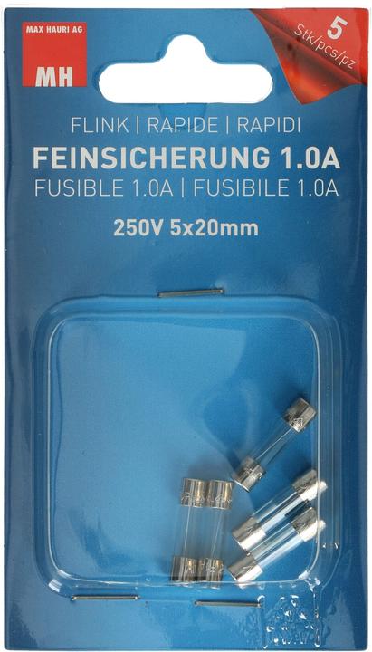 Max Hauri Fuses (1 A)