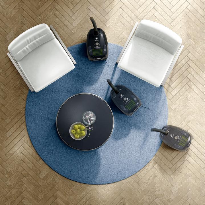 Produktbild Electrolux PowerForce EPF6GREEN