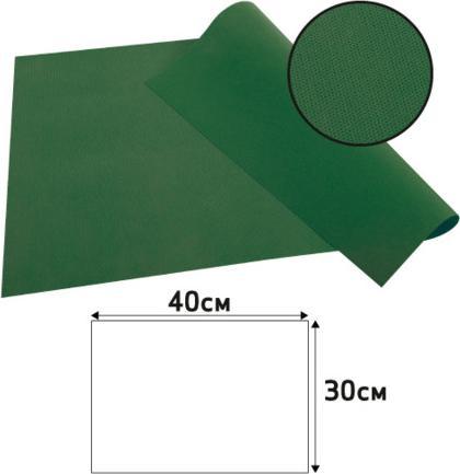 Actual product image Exacompta Placemats Spunbond F ir Grn, 30x40, Pk100 (30 x 40 cm)