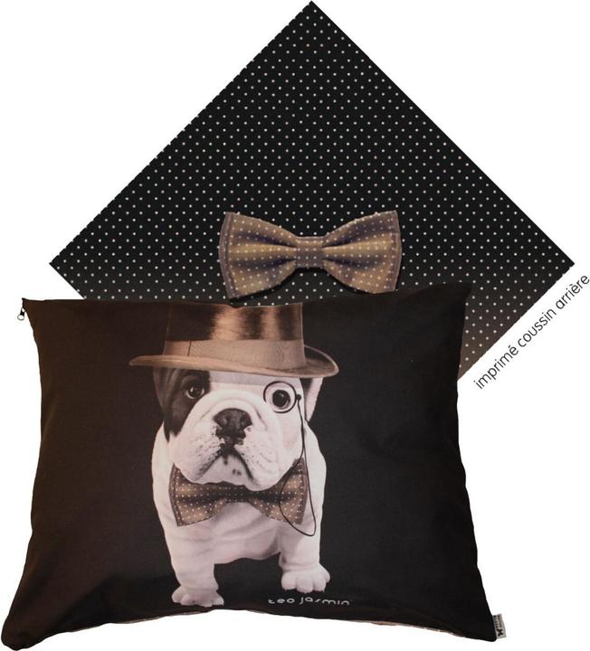Produktbild Teo Jasmin Dandy (Hund)