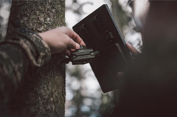 Actual product image Seissiger Tree stand with ball joints