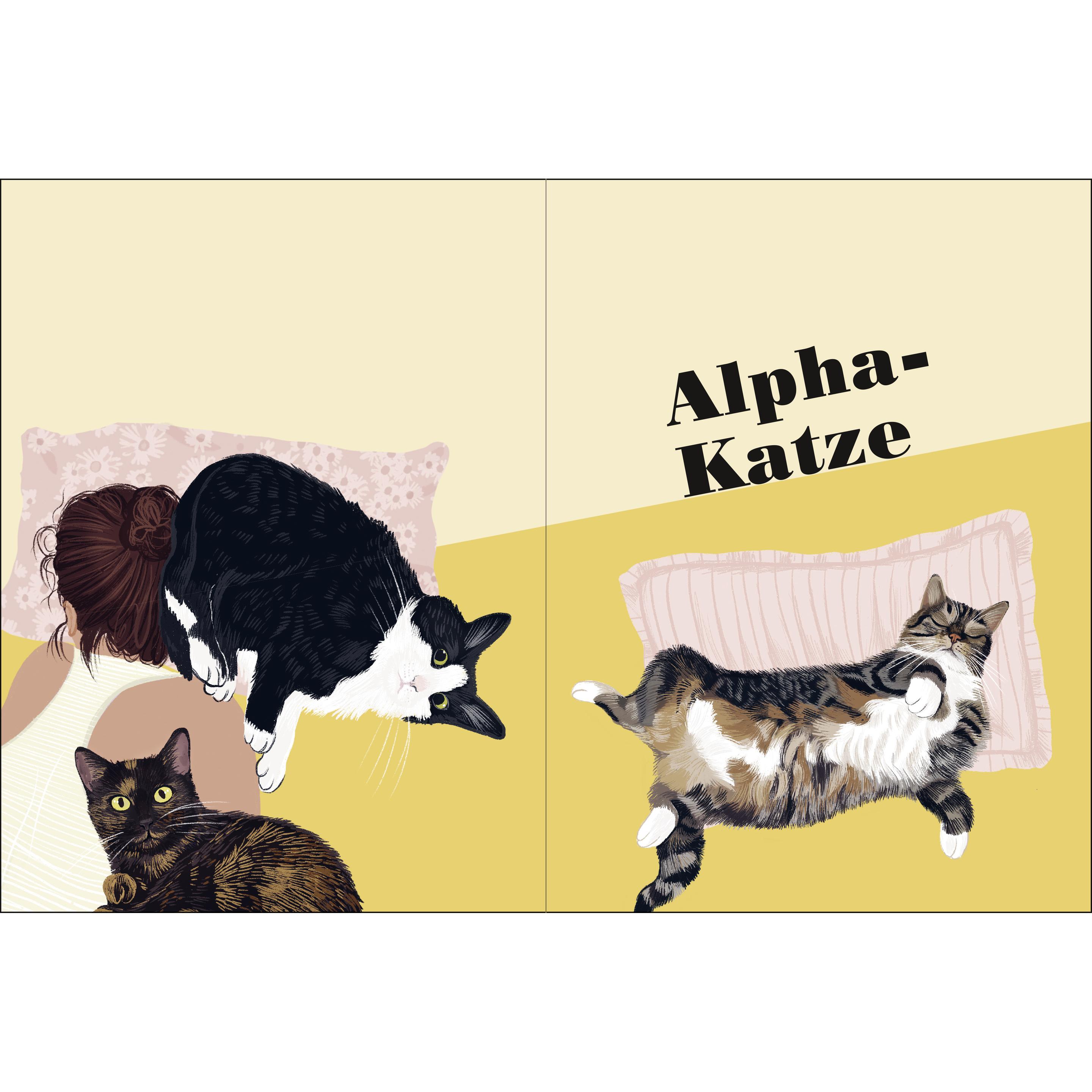 Thumbnail - Miau - Wie gut kennst du deine Katze?, Ratgeber von Alissa Levy