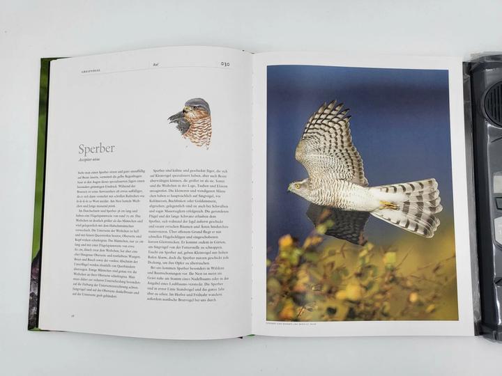 Produktbild Vogelstimmen (Deutsch, Einhard Bezzel, 2012)