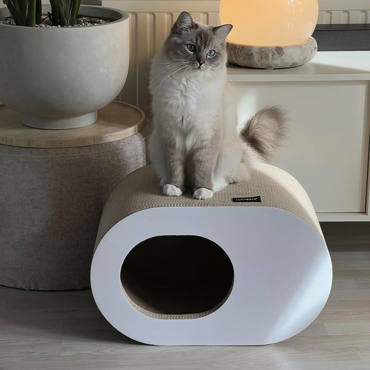 Produktbild LucyBalu Papercave (Katze)
