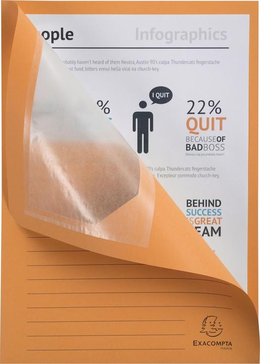 Immagine prodotto Exacompta Scrapbook - Copertine di file (A4, 25x)