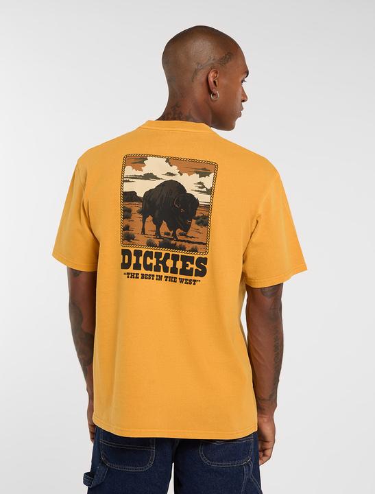 Produktbild Dickies Darrtown Ss Tee (S)
