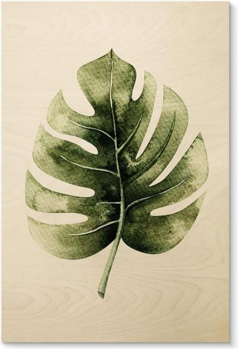 Trenddeko Foglia di Monstera (20 x 30 cm) - acquista su Galaxus - Galaxus