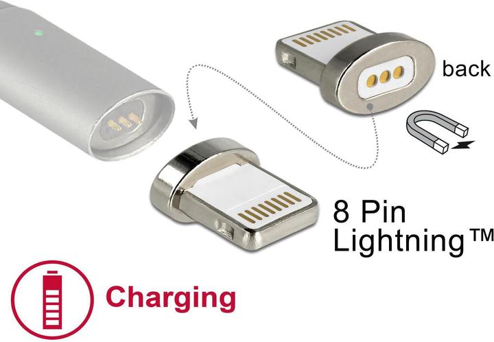 Actual product image Delock Magnetic Adapter USB Lightning (USB 2.0)
