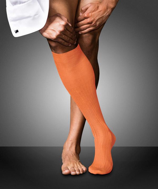 Actual product image Falke No. 10 KH (41 - 42)