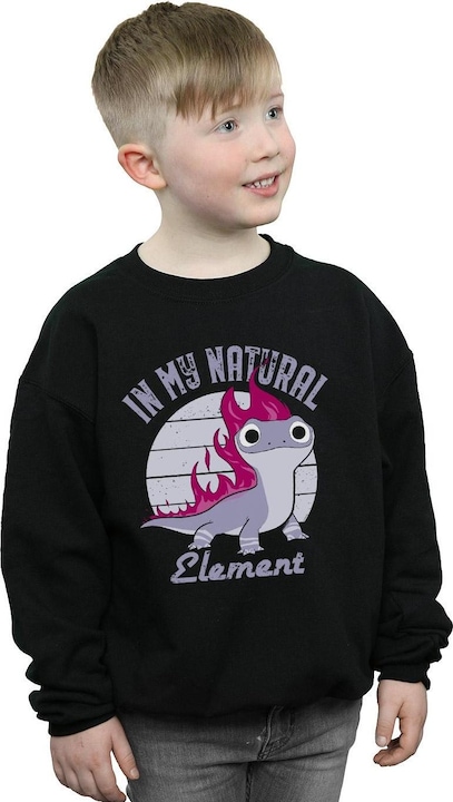 Image du produit Disney - Sweat FROZEN SALAMANDER BRUNI ELEMENT - Garçon (104)