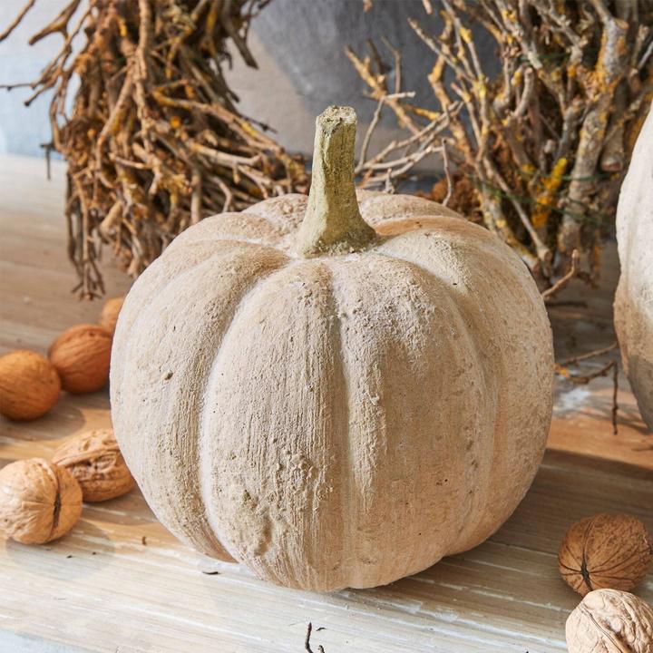 Actual product image Loberon Pumpkin