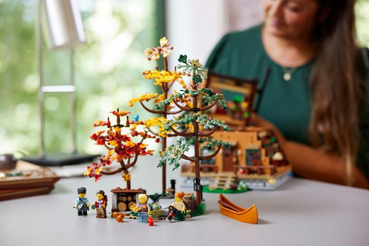 Immagine prodotto LEGO Idee Finn Cottage 21338 (21338, LEGO Ideas, Set LEGO rari)