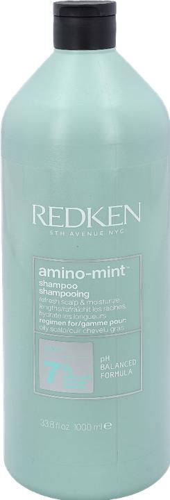 Produktbild Redken Amino Mint (1000 ml)