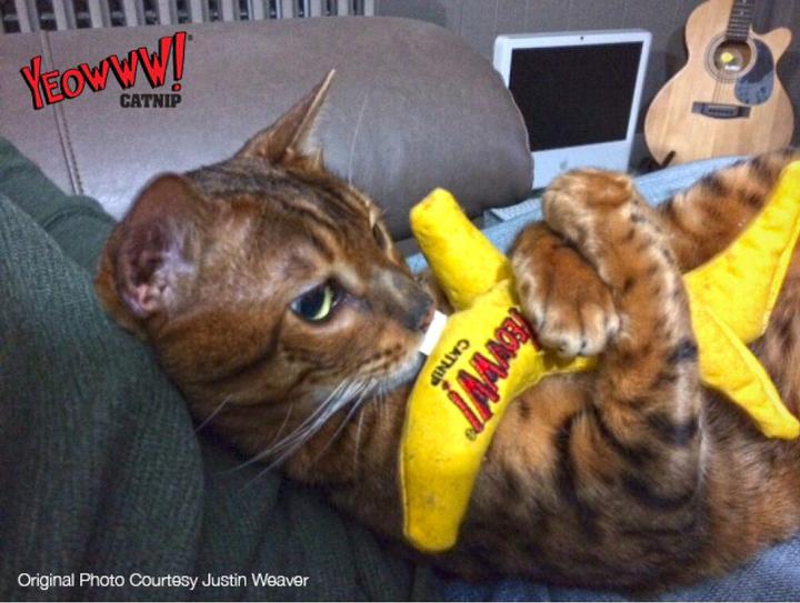 Actual product image Yeowww Banana 18cm filled with catnip (Catmint toy)