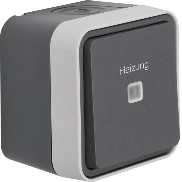 Berker Kontroll-Wechselschalter