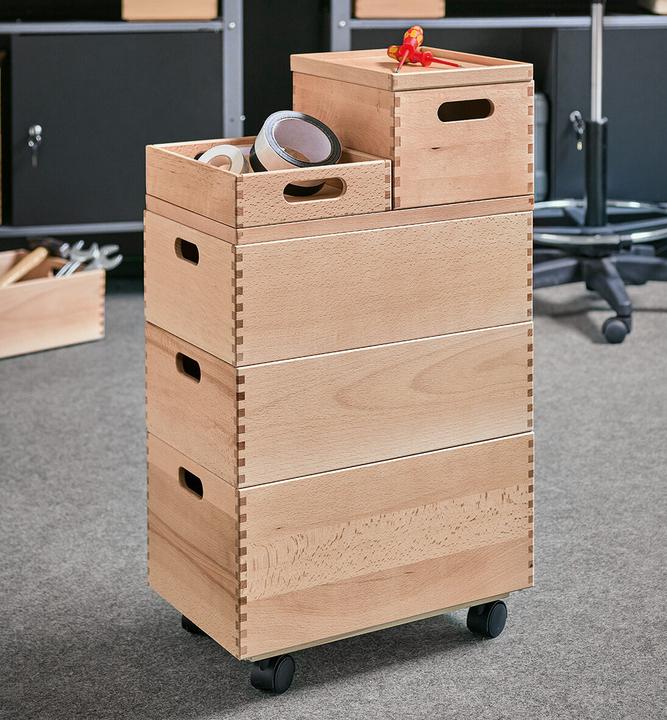 Actual product image Zeller Present All-purpose box (30 cm, 18 l, 1x)