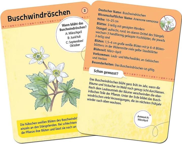 Produktbild 50 heimische Blumen (Deutsch, 1 - 20 Spieler)