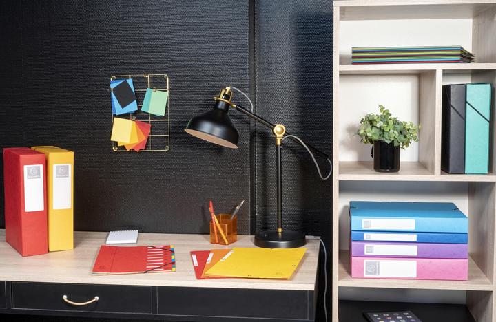 Actual product image Exacompta Archive boxes (25 x 33 cm)