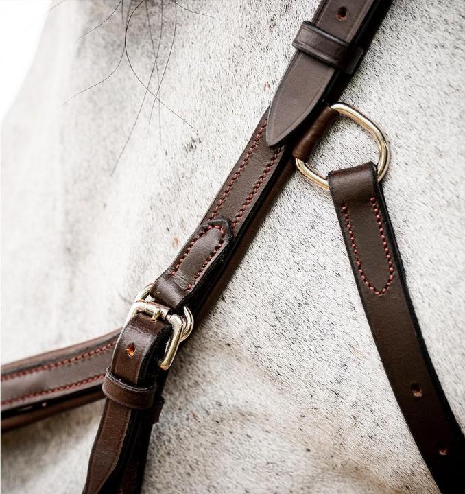 Produktbild Horseware Zaum Micklem Deluxe