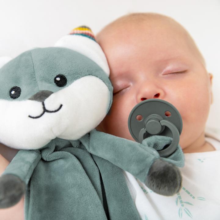 Image du produit ZaZu Doudou avec module sonore amovible