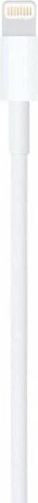 Actual product image Apple USB A – Lightning (1 m, USB 2.0, 12 W)