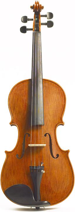 Stentor Elysia