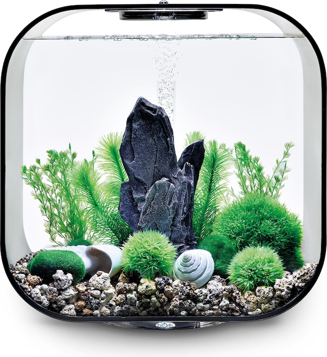 Actual product image Oase biOrb Aquarium 30 Decor Set (Embellishment, other items)