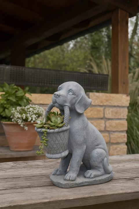 Produktbild Möbel Direkt Online Hund