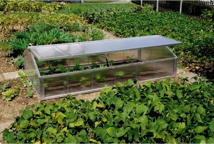 Greenhouse